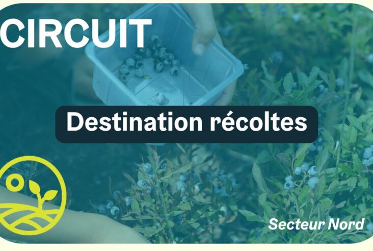 Balades gourmandes – Destination récoles – 28 août