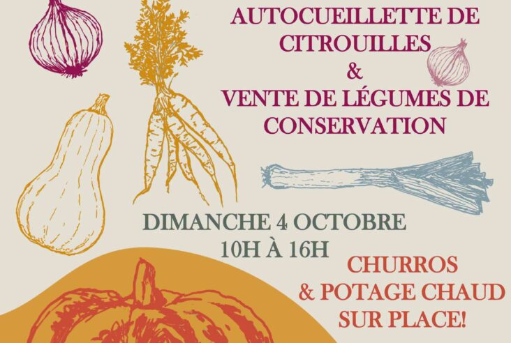 Journée citrouilles et provisions d’hiver