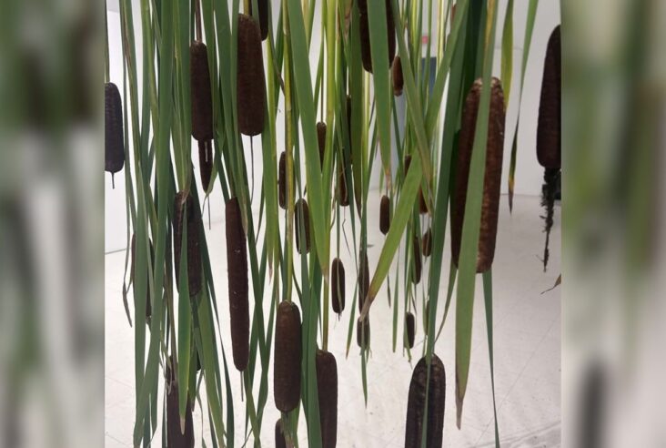 Atelier d’art-nature avec Joanne Poitras